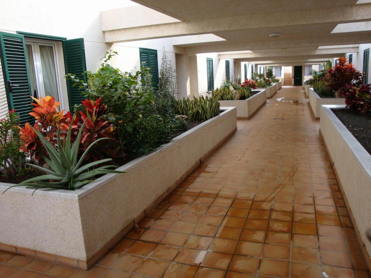 엘메다노 Apartamento Con Jardin Y Piscina En El Balancon 아파트 외부 사진